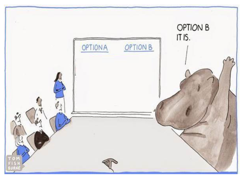 Na imágem aparece um time inteiro optando pela opção A e apenas um hipopótamo sozinho ignorando o time e optando pela opção B.